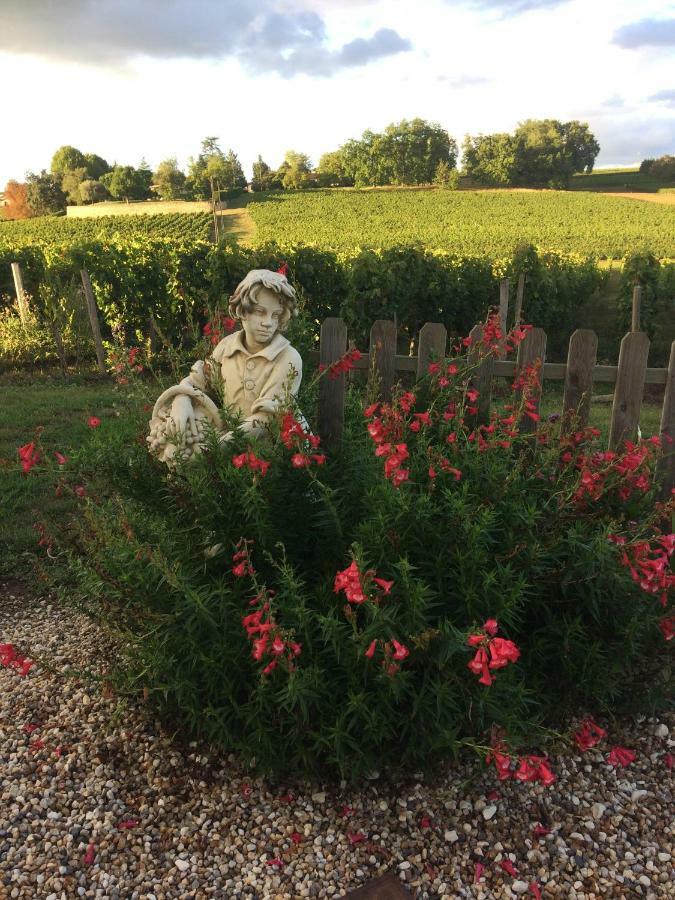 Au Charmant Des Vignes Montagne  Exterior foto